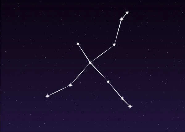 Vektor souhvězdí Cygnus Stock Vektory