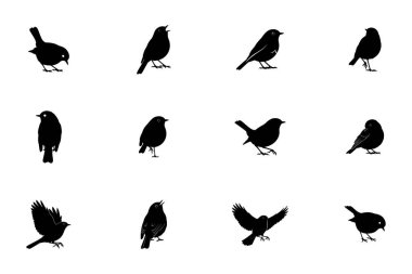 Robin kuş siluetleri, ayakta ve dinlenirken konum vektör illüstrasyon.