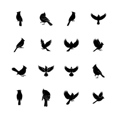 Kardinal kuş siluetleri tünemiş ve uçan yaban hayatı taşıyıcı illüstrasyon oluşturur.