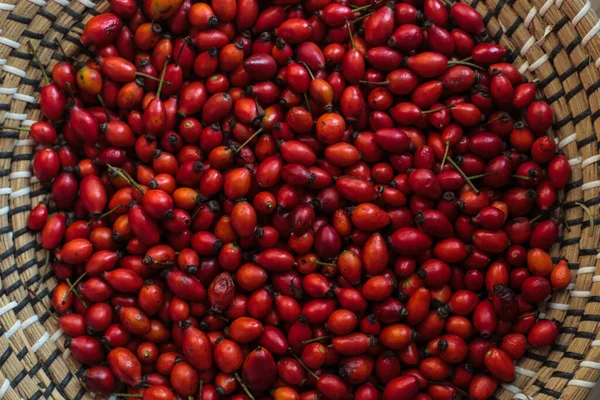 Taze koparılmış gül kalçalarının el dokuma sepetini doldurduğu üst bir manzara. Parlak kırmızı meyveler sepetin doğal dokusuna karşı durarak sıcak, organik ve kırsal bir bileşim oluşturur..