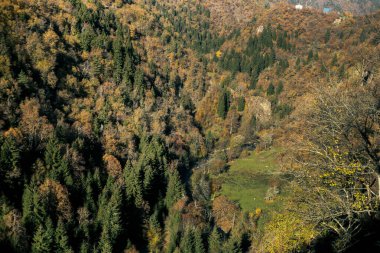 Kahverengi ve yeşil gölgeli sık ormanlarla kaplı geniş bir dağ vadisinin panoramik görüntüsü, sonbaharda parlak gün ışığında yakalanır..