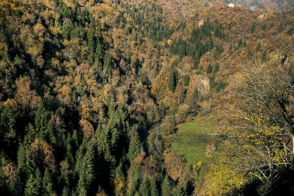 Kahverengi ve yeşil gölgeli sık ormanlarla kaplı geniş bir dağ vadisinin panoramik görüntüsü, sonbaharda parlak gün ışığında yakalanır..