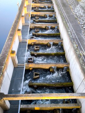 Balık merdiveni ya da balık asansörü, bir barajdan geçen balıkların göç etmesi için tasarlanmış basamaklı beton merdiven biçiminde özel bir teknik yapıdır..