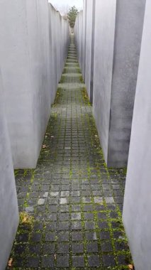 Berlin 'deki Avrupa' da öldürülen Yahudiler Anıtı 'nın uzun gri beton taşları arasında uzun ve dar bir geçit. Yosun ve düşen yapraklar kaldırım taşı yolunda görülebiliyor, melankolik atmosferi vurguluyor.