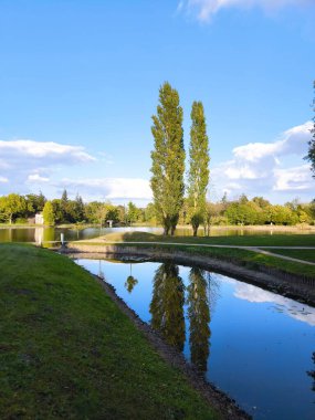 Sonbaharda günbatımında dar bir parkta yansıyan iki uzun kavak..