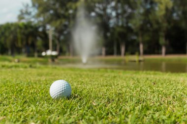 Yeşil çim arka planda golf topu