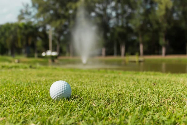 Мяч для гольфа на зеленом фоне травы — стоковое фото