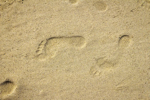Barfota fotspår på sandstranden — Stockfoto