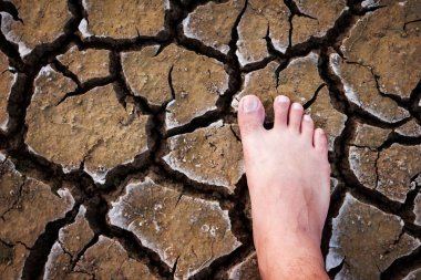 Kuru toprak üzerinde çıplak insan barefeet