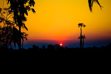 Kırmızı günbatımında günbatımı ağaçlar siluet ile