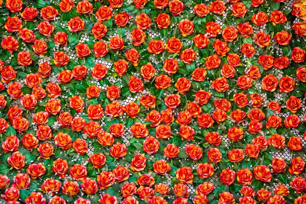 Pattern of red roses — Stock Photo, Image