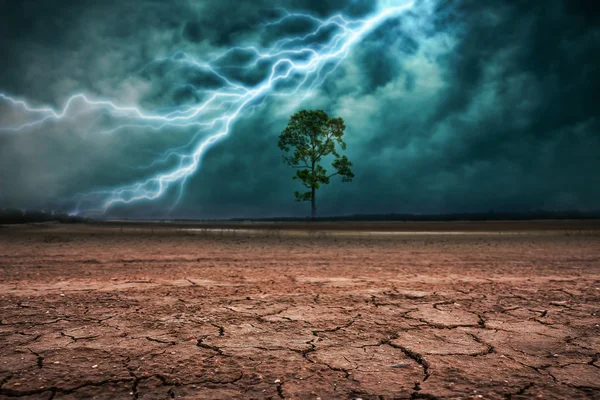 Land to the ground dry cracked and big tree. With lightning stor — Stock Photo, Image
