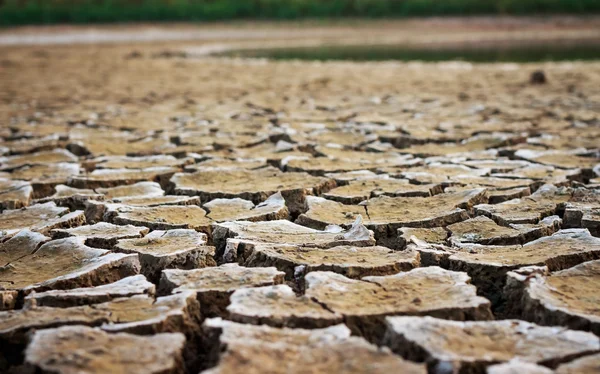 기후 변화, 지상은, 가뭄, 금이 지상 — 스톡 사진
