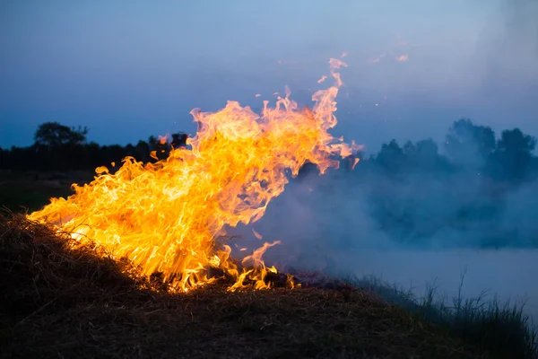 Gras natuurramp brandgevaarlijk — Stockfoto