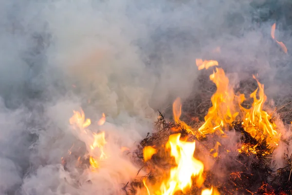 Vuur rook op het gras natuurramp risico. — Stockfoto