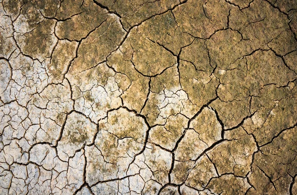 Repedt talaj háttér — Stock Fotó