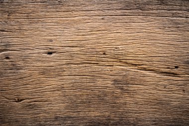 Ağaç kabuğunun doğal arkaplan olarak kullanımı