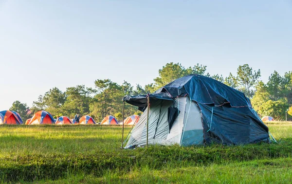 フーKraduengの森の中でキャンプ — ストック写真
