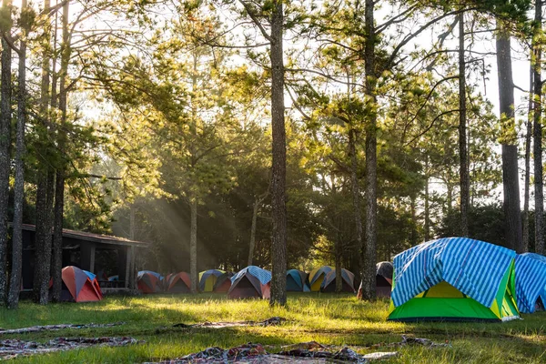 Acampar Floresta Phu Kradueng Tailândia — Fotografia de Stock