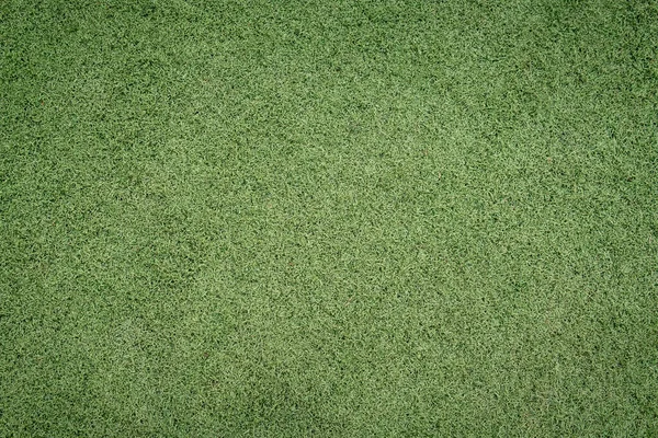 Üst Görünüm Yeşil Çimen Dokusu Arka Planı — Stok fotoğraf