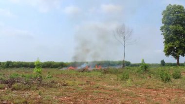 Zaman akıp gidiyor ağaçlar, gökyüzü bulutu ve ateş
