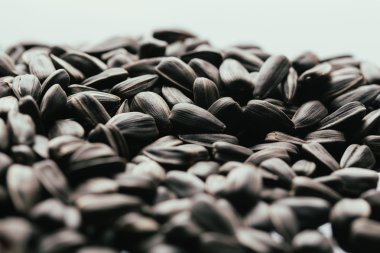 birçok siyah ayçiçeği tohumu arka plan yakın çekim