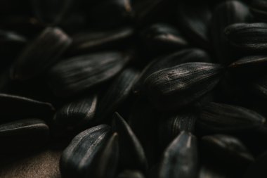 birçok siyah ayçiçeği tohumu arka plan yakın çekim