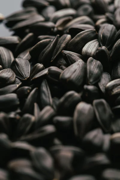 Many black sunflower seeds background close up — Stock Photo, Image