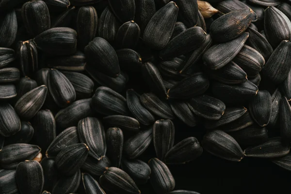 Muchas semillas de girasol negro fondo de cerca — Foto de Stock