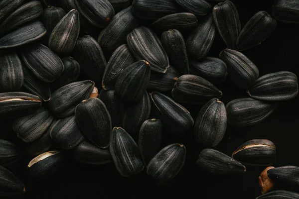 Багато чорних насіння соняшнику крупним планом — стокове фото