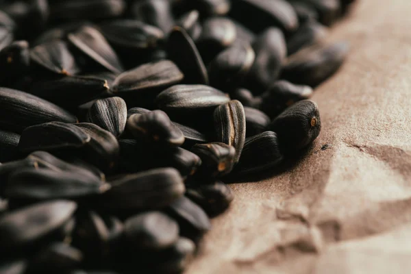 Muitas sementes de girassol preto fundo fechar — Fotografia de Stock