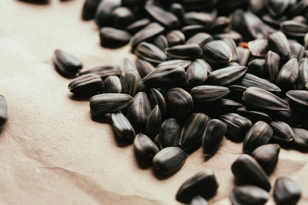 Muitas sementes de girassol preto fundo fechar — Fotografia de Stock