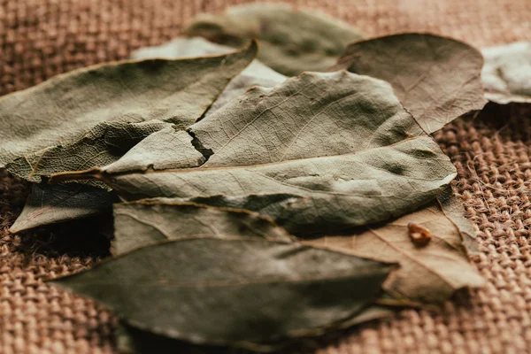 Few laurel leaves on light fabric sacking — Stock Photo, Image