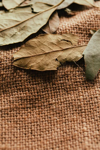 few laurel leaves on light fabric sacking