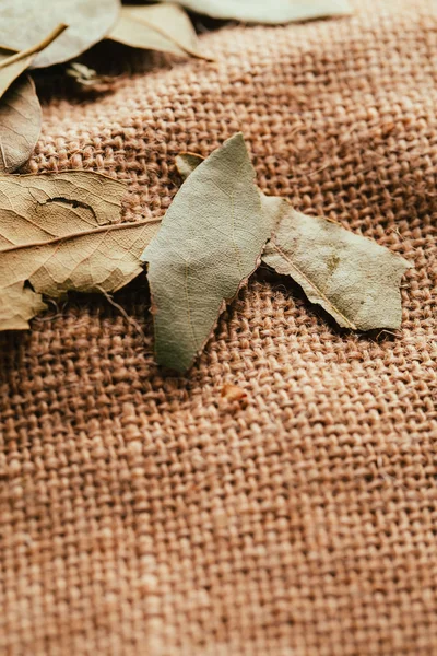 few laurel leaves on light fabric sacking