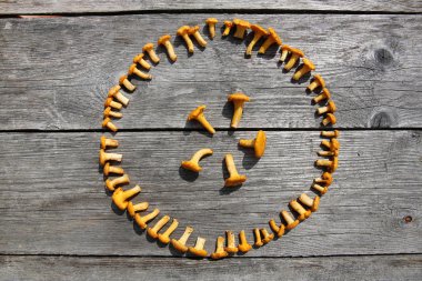 Tahta masadaki taze mantarlar.