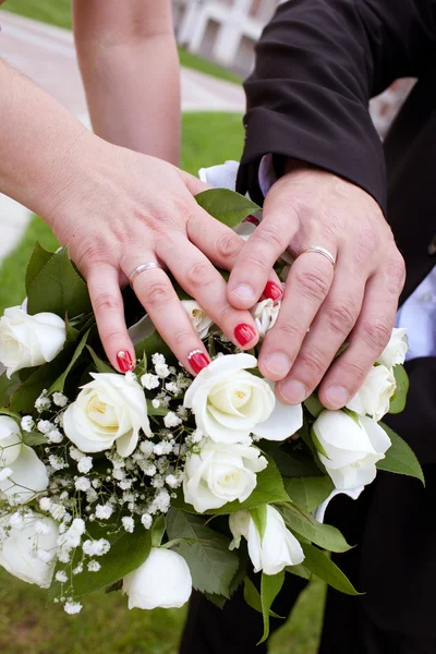 Bride and groom hands with wedding rings Stock Photo
