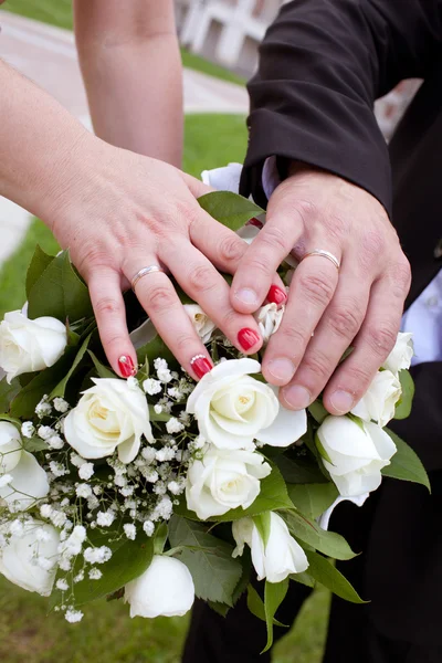Bride and groom hands with wedding rings Royalty Free Stock Photos