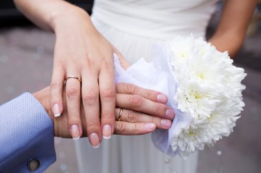 Gelin ve damat elleri yüzüklü