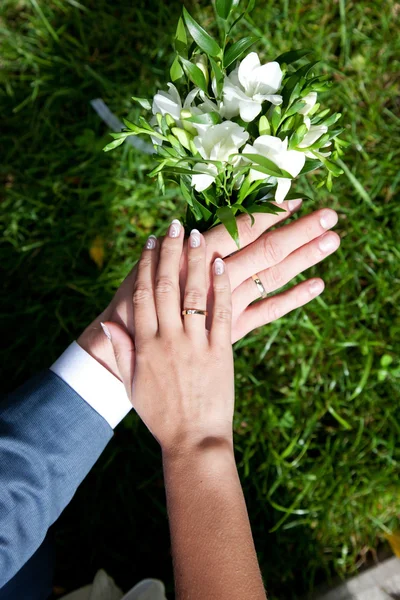 Mains de mariée et marié avec anneaux — Photo