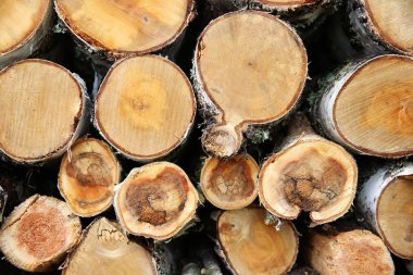 Ahşap yakıt doku