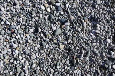 gri Denizi çakıl