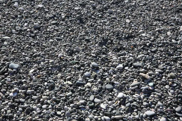 Gray sea pebbles — Stock Photo, Image