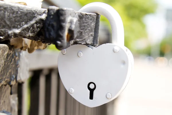 Lock in hart shape on the bridge — Stock Photo, Image