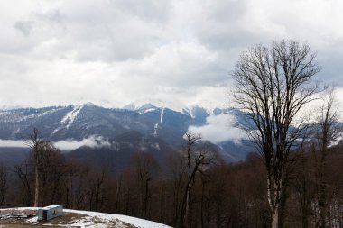 Dağ manzarası. Krasnaya Polyana, Sochi, Rusya Federasyonu
