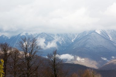 Dağ manzarası. Krasnaya Polyana, Sochi, Rusya Federasyonu