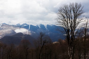 Dağ manzarası. Krasnaya Polyana, Sochi, Rusya Federasyonu