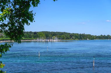 Çok sayıda yelkenli ve yemyeşil kıyı şeridiyle Constance Gölü 'nün (Bodensee) manzarası. Açık mavi su gökyüzünü yansıtıyor, sakin ve resimsel bir manzara yaratıyor. Ön planda birkaç tahta direk görünüyor..