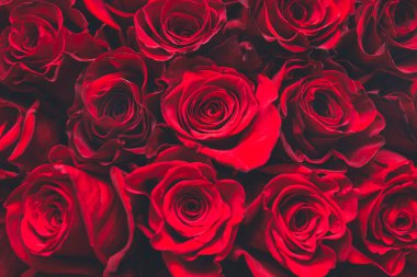 Bir buket kırmızı gül, bir sürü güzel çiçek...,