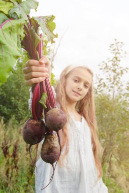 Yeşil arka planda beyaz bir kızın elinde üç pancar.